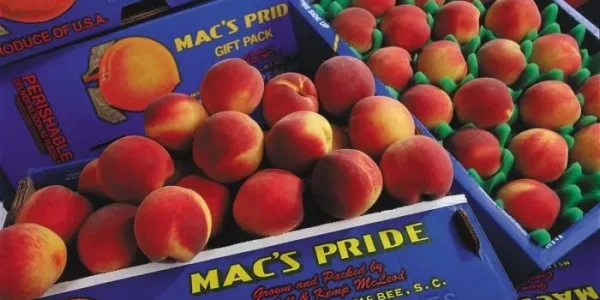 POI - McLeod Farms