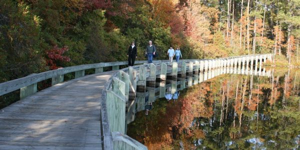 People walking in park